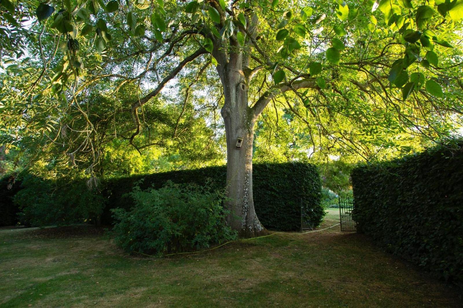 Ebony Cottage Tenbury Luaran gambar